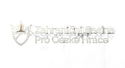 Zahraniční  Casina  Pro České  Hráče